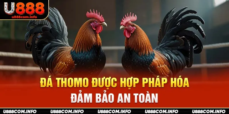 Đá Thomo được hợp pháp hóa, đảm bảo an toàn